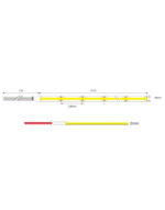 COB LED TAINIA 21W (784led/m-12mm) RGBWW-3K 24V …lm 140° IP44 DIMMABLE 5M UNIVERSE – 2-U013574