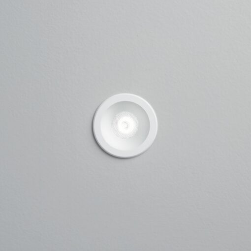 VIRUS FI WH WH – 1-ID244808