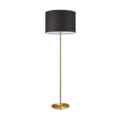 SET UP MPT1 OTTONE – 1-ID260006