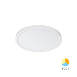 4cef5c80-2c39-4e0d-beed-11e1837b1c47.jpg