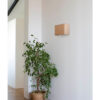 OTTON WALL LAMP YUTE 2xE27 HOR. SQ. 375x200x105 – 1-FR66401-108