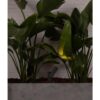 SPY-1  DARK GREY SPIKE LAMP 6W 3000K 30° – 1-FR70787