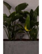 SPY-1  DARK GREY SPIKE LAMP 6W 3000K 30° – 1-FR70787