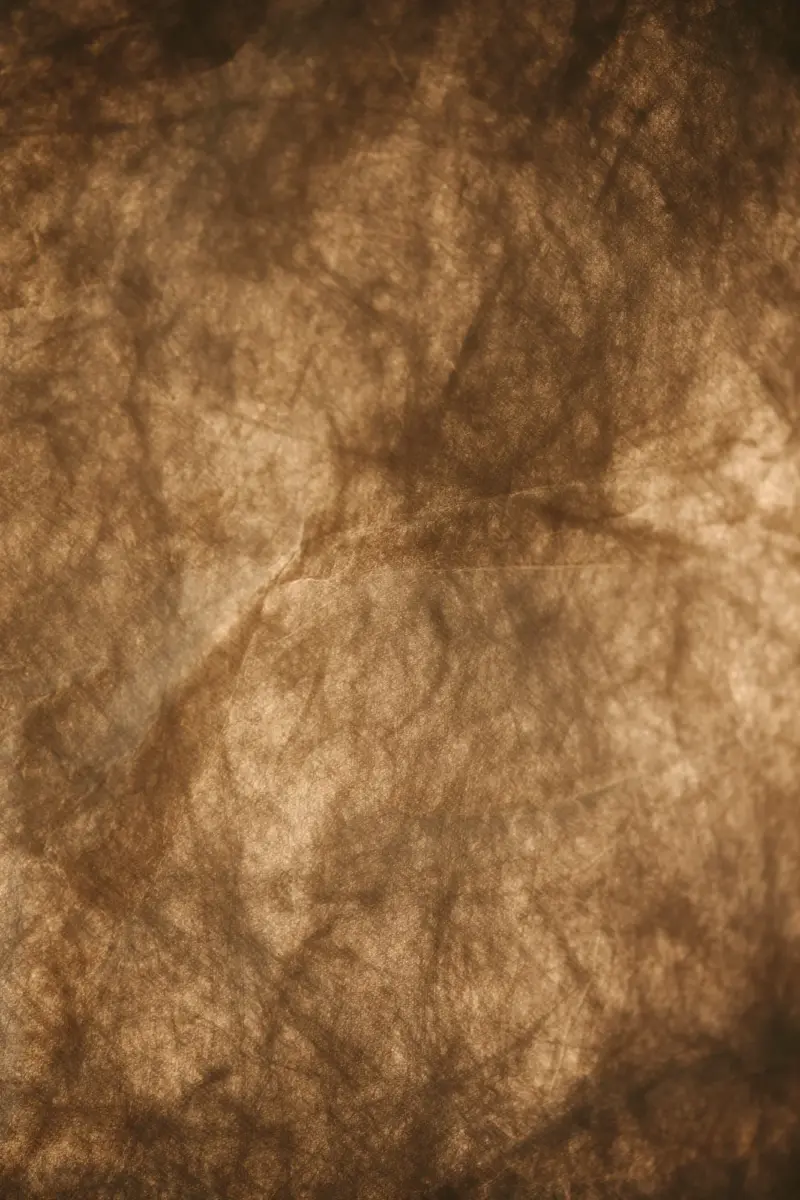 Cardine 35 | Pendant | White – 1-NR2312403001