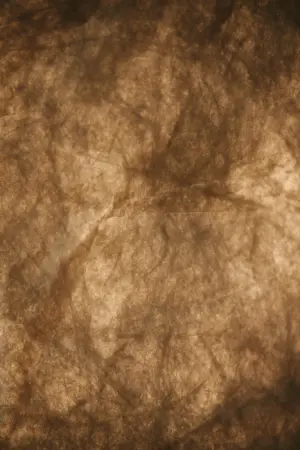 Cardine | Pendant | White – 1-NR2312443001