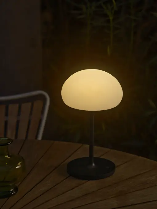 Sponge On A Stick | Battery light | Black – 1-NR2320715003