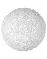 Eos Up Large white O 70 cm x 27 cm – 1-UM2141