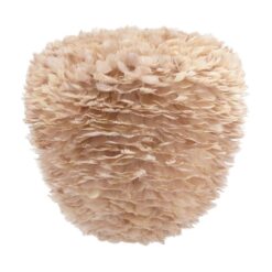 Eos Evia Large light brown O 55 x 54 cm – 1-UM2472