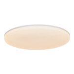 Vic 29 2100Lm 3000K | Ceiling light | White – 1-NR2310126001