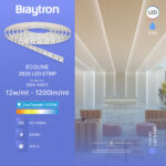 BRY-ECOLINE-12W-120L-2835-6500K-24V-IP20-LED STRIP – BS01-00813