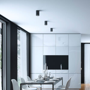 BRY-GAMA-8010-RND-BLC-GU10-SPOTLIGHT – BH04-00301