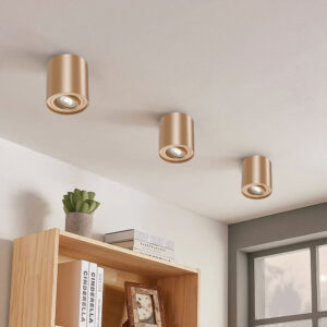 BRY-GAMA-8010-RND-GLD-GU10-SPOTLIGHT – BH04-00306