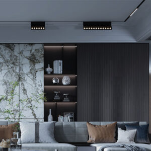 BRY-WSL110-6W-48VDC-3000K-BLC-MAG. LINEAR – BD60-03101