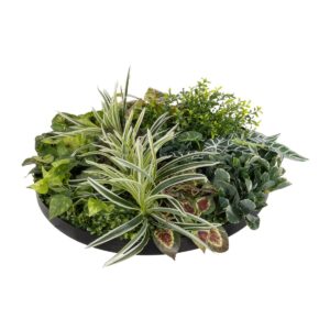 GloboStar® Artificial Garden VARIOUS PLANTS ROUND WALL DISC 20691 Τεχνητό Διακοσμητικό Στρογγυλό Πάνελ Φυλλωσιάς – Κάθετος Κήπος Μιξ Μ60 x Π60 x Υ20cm