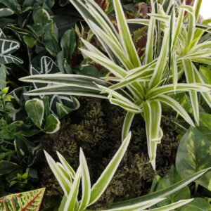 GloboStar® Artificial Garden VARIOUS PLANTS ROUND WALL DISC 20691 Τεχνητό Διακοσμητικό Στρογγυλό Πάνελ Φυλλωσιάς – Κάθετος Κήπος Μιξ Μ60 x Π60 x Υ20cm