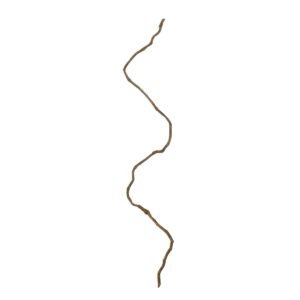 GloboStar® Artificial Garden DRY VINE 21067 Τεχνητό Διακοσμητικό Κλαδί Ξηρό Αμπέλι Μ8 x Π8 x Υ180cm – Σετ 10 τμχ