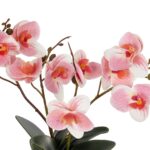 GloboStar® Artificial Garden PINK ORCHID 21075 Διακοσμητικό Φυτό Ροζ Ορχιδέα  Υ30cm