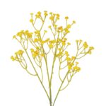 GloboStar® Artificial Garden YELLOW BRANCH BABY BREATH 21370 Τεχνητό Διακοσμητικό Κλαδί Κίτρινης Γυψοφίλης Y61cm