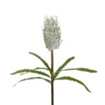 GloboStar® Artificial Garden WHITE STIPA FRUIT BRANCH 21374 Τεχνητό Διακοσμητικό Κλαδί Στίπα Y69cm