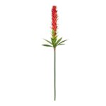 GloboStar® Artificial Garden RED GINGER BUD BRANCH 21393 Τεχνητό Διακοσμητικό Κόκκινο Κλαδί Ginger Y124cm