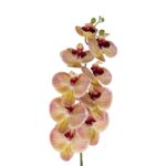 GloboStar® Artificial Garden PING SALMON ORCHID BRANCH 21405 Τεχνητό Διακοσμητικό Κλαδί  Ροζ Ορχιδέα Y95cm