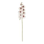 GloboStar® Artificial Garden WHITE ORCHID BRANCH 21406 Τεχνητό Διακοσμητικό Κλαδί Λευκή Ορχιδέα Y95cm