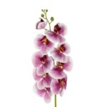 GloboStar® Artificial Garden PINK ORCHID BRANCH 21407 Τεχνητό Διακοσμητικό Κλαδί Ροζ Ορχιδέα Y95cm
