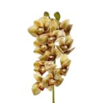 GloboStar® Artificial Garden CHAMPAGNE CYMBIDIUM BRANCH 21408 Τεχνητό Διακοσμητικό Κλαδί Σαμπανί Κυμβίδιο  Y75cm