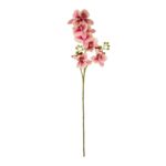 GloboStar® Artificial Garden CHAMPAGNE PINK ORCHID  BRANCH 21411 Τεχνητό Διακοσμητικό Κλαδί Σαμπανί Ορχιδέα Y70cm