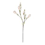 GloboStar® Artificial Garden CHAMPAGNE MAGNOLIA BRANCH 21423 Τεχνητό Διακοσμητικό Κλαδί Σαμπανί Μανόλια Y100cm