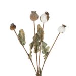 GloboStar® Artificial Garden POPPY FRUIT BRANCH 21433 Τεχνητό Διακοσμητικό Κλαδί Παπαρούνα Y60cm