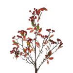 GloboStar® Artificial Garden BROWN BERRIES FRUIT BRANCH 21444 Τεχνητό Διακοσμητικό Κλαδί Κάφε Γκί Y94cm
