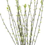 GloboStar® Artificial Garden GREEN WILLOW FLOWER BRANCH 21458 Τεχνητό Διακοσμητικό Κλαδί Λευκή Ιτιά Y86cm
