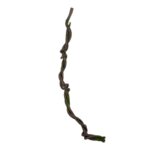 GloboStar® Artificial Garden VINE BRANCH 21465 Τεχνητό Διακοσμητικό Κλαδί Αμπελιού Y170cm