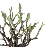 GloboStar® Artificial Garden GREEN ORCHID BOUQET 21466 Τεχνητό Διακοσμητικό Μπουκέτο Πράσινη Ορχιδέα Y34cm