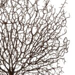 GloboStar® Artificial Garden BROWN CORAL BRANCH 21467 Τεχνητό Διακοσμητικό Κλαδί Καφέ Koράλι Y49cm