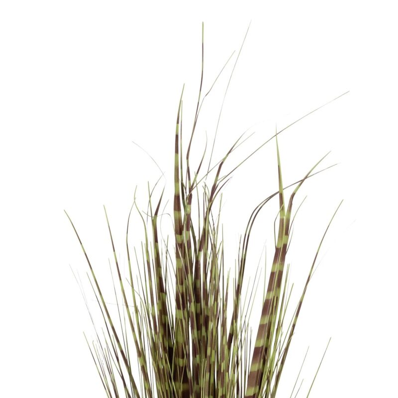 GloboStar® Artificial Garden ZEBRA GRASS 21482 Τεχνητό Διακοσμητικό Φυτό Ζέμπρα  Υ85cm