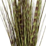 GloboStar® Artificial Garden ZEBRA GRASS 21482 Τεχνητό Διακοσμητικό Φυτό Ζέμπρα  Υ85cm