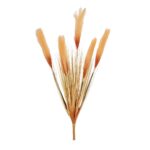 GloboStar® Artificial Garden ORANGE PAMPAS GRASS BRANCH 21486 Τεχνητό Διακοσμητικό Κλαδί Πορτοκαλί Πάμπας Y88cm