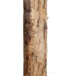 GloboStar® Artificial Garden BANANA TREE 21501 Τεχνητό Διακοσμητικό Δέντρο Μπανανιάς Υ400cm