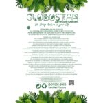 GloboStar® Artificial Garden BEGONIA HANGING PLANT 20639 Τεχνητό Κρεμαστό Διακοσμητικό Φυτό Βιγόνια Π75 x Μ75 x Y80cm