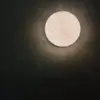 234510101_A_2