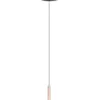 Trio Lighting – 334410165 GUANO Κρεμαστό Φωτιστικό Σποτ LED 8W 850lm Step Dimmable CCT Μαύρο & Καφέ