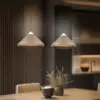 336219165_A