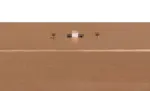 344310179_4
