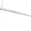 347910107_3