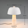 Trio Lighting – 567800276