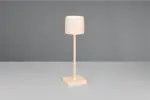 Επαναφορτιζόμενο Πορτατίφ Μπεζ FERNANDEZ 1.5W 130lm CCT Dimmable IP54 με Ασύρματη Βάση Φόρτισης Reality – R54096166