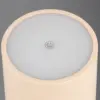 Επαναφορτιζόμενο Πορτατίφ Μπεζ FERNANDEZ 1.5W 130lm CCT Dimmable IP54 με Ασύρματη Βάση Φόρτισης Reality – R54096166