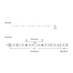 ΤΑΙΝΙΑ LED 5M 10W 24V 3000K IP68 PRO EUROLAMP 145-70412